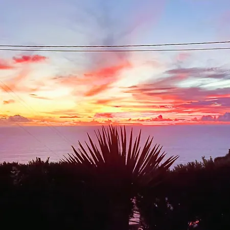 Gertrudes Dream House *