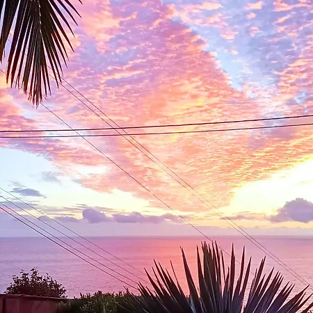 Gertrudes Dream House *