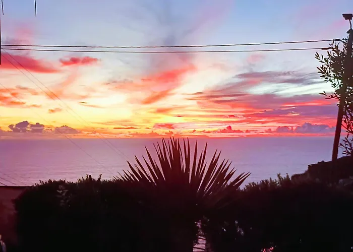 Gertrudes Dream House *