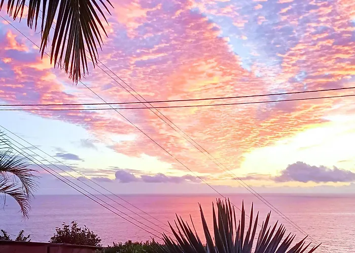 Gertrudes Dream House *