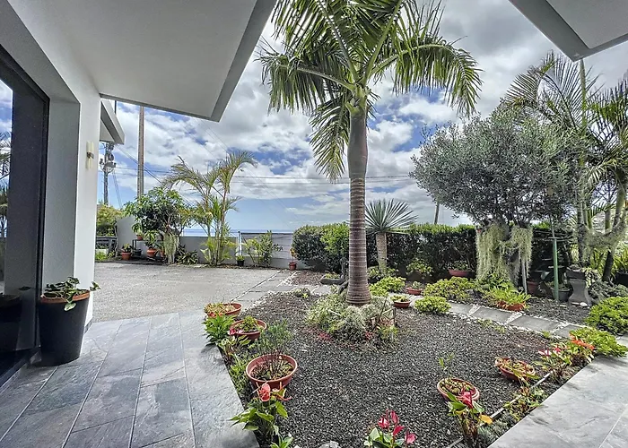 Gertrudes Dream House *